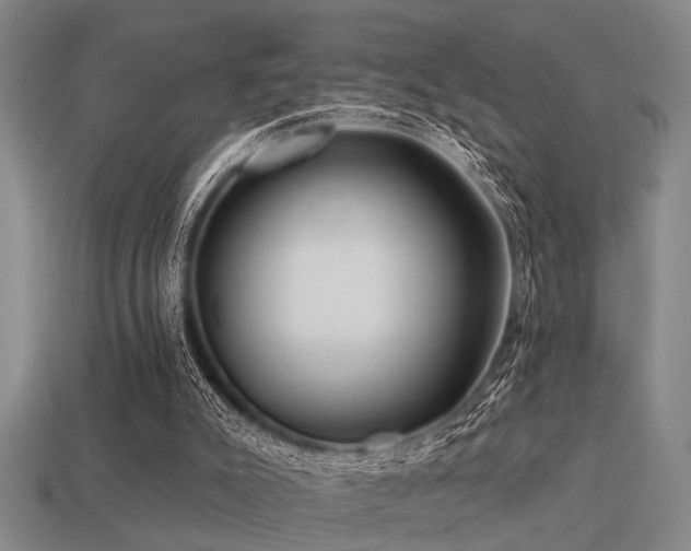 X0000113610007200909181428