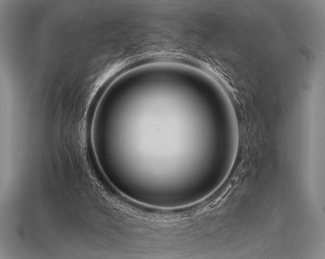 X0000113610008200909181428