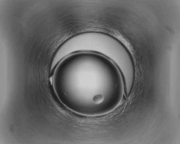 X0000113610009200909181428