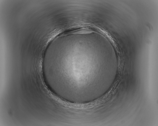 X0000113610010200909181428