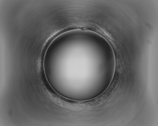 X0000113610012200909181428