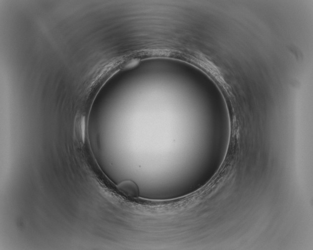 X0000113610013200909181428