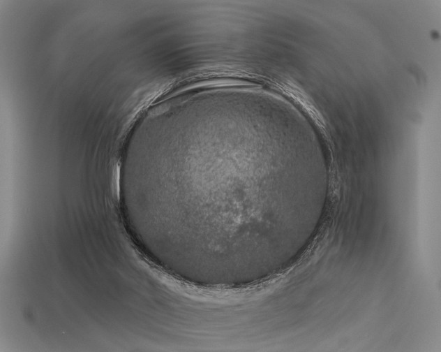 X0000113610014200909181428