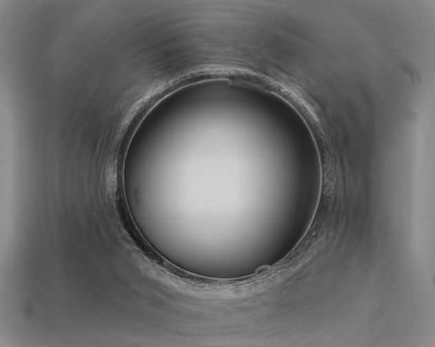 X0000113610015200909181428