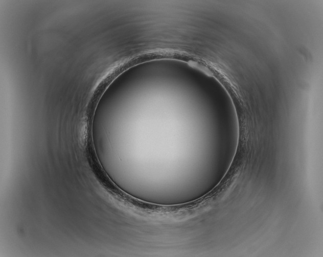 X0000113610016200909181428