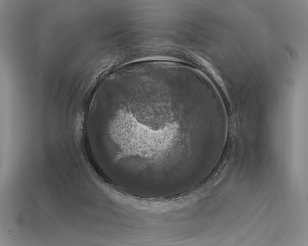 X0000113610018200909181428