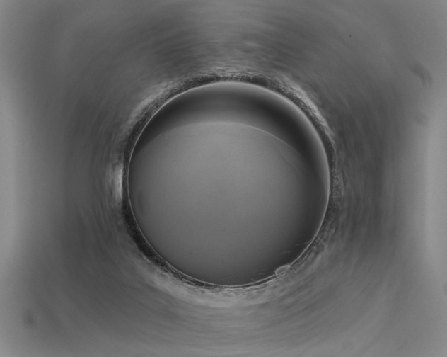 X0000113610019200909181428