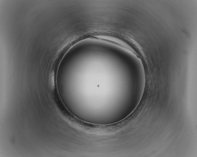 X0000113610020200909181428