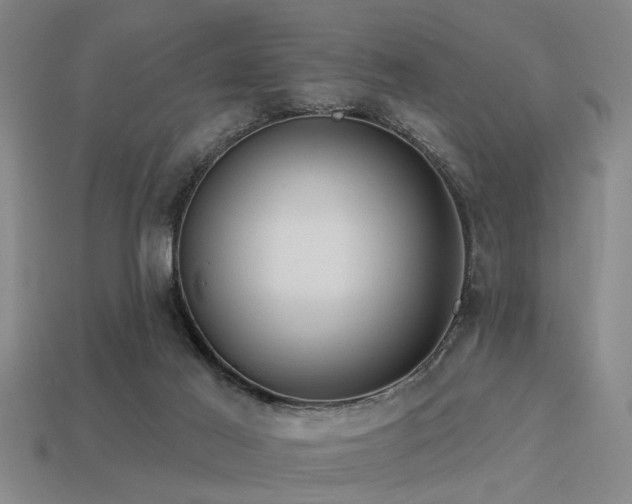 X0000113610021200909181428