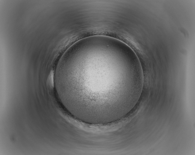 X0000113610022200909181428