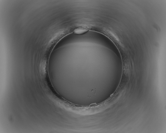 X0000113610023200909181428