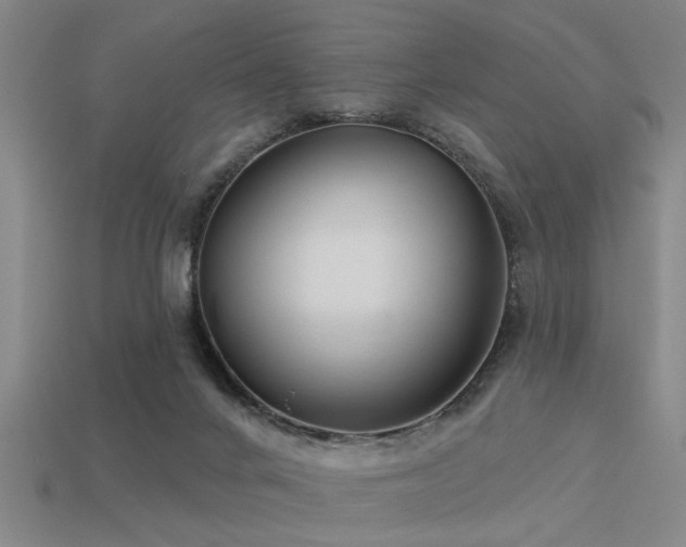 X0000113610024200909181428