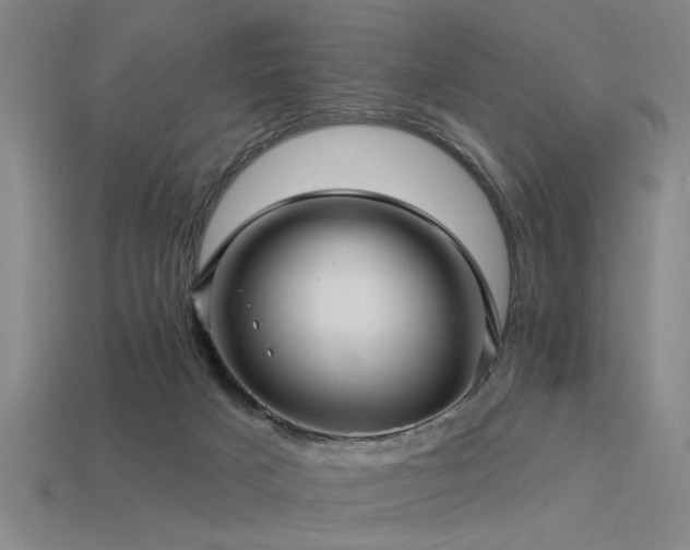 X0000113610025200909181428