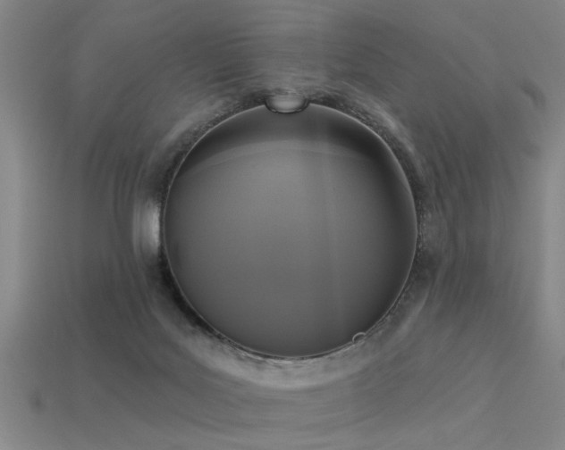 X0000113610027200909181428