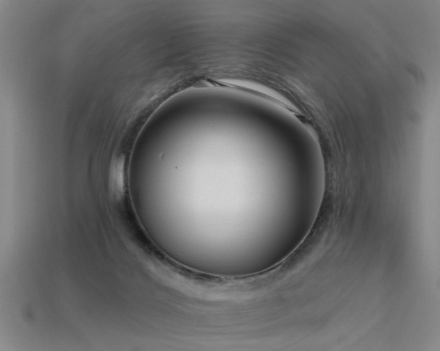 X0000113610028200909181428