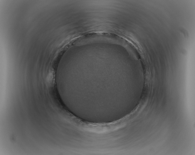 X0000113610029200909181428