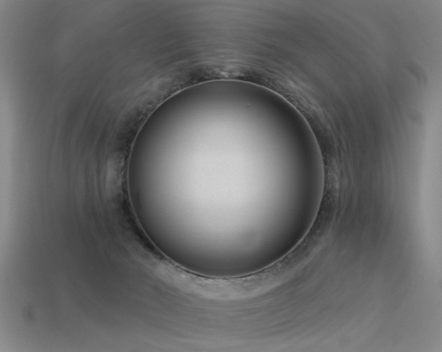 X0000113610030200909181428