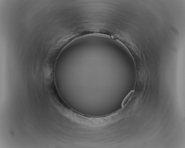 X0000113610031200909181428