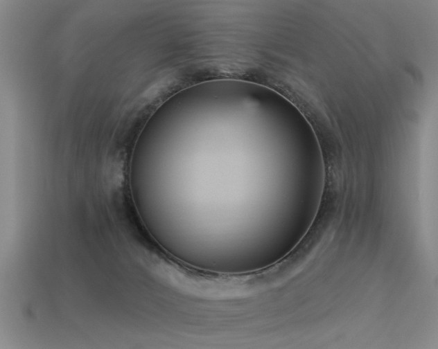 X0000113610032200909181428