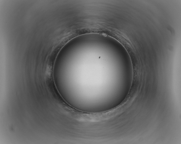 X0000113610033200909181428