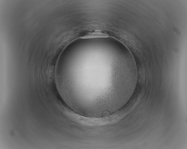 X0000113610034200909181428