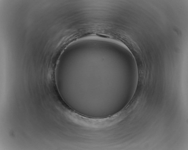 X0000113610035200909181428