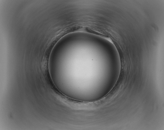 X0000113610036200909181428