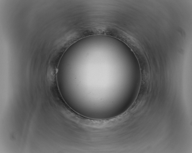 X0000113610037200909181428