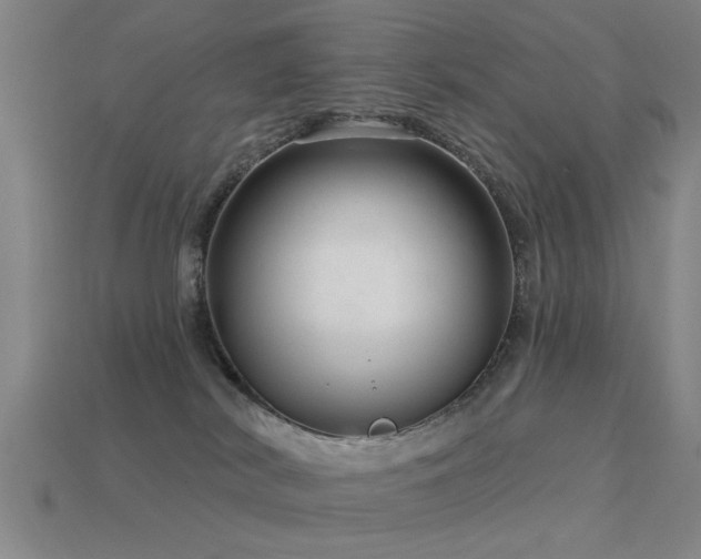 X0000113610038200909181428