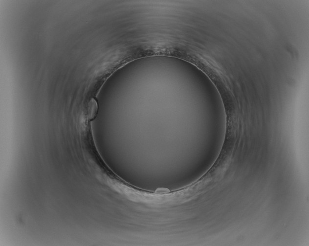 X0000113610039200909181428