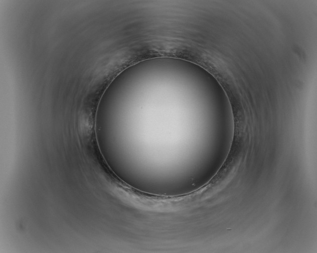 X0000113610040200909181428