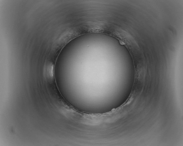 X0000113610041200909181428