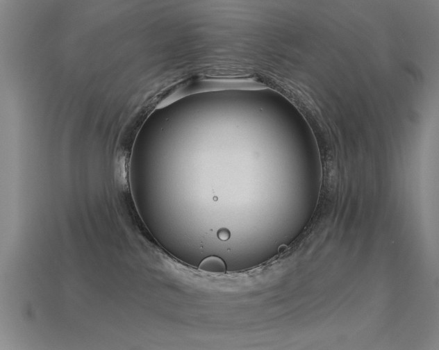 X0000113610042200909181428