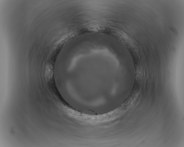 X0000113610043200909181428