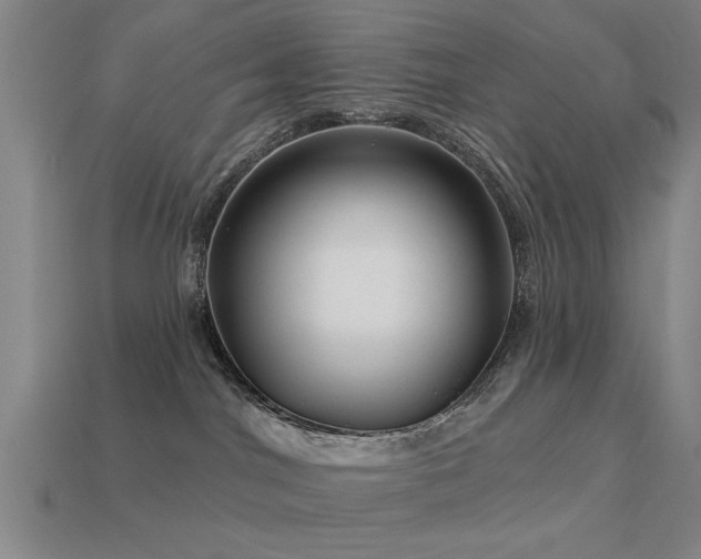 X0000113610044200909181428