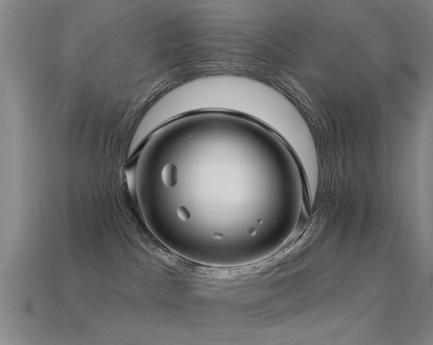 X0000113610045200909181428