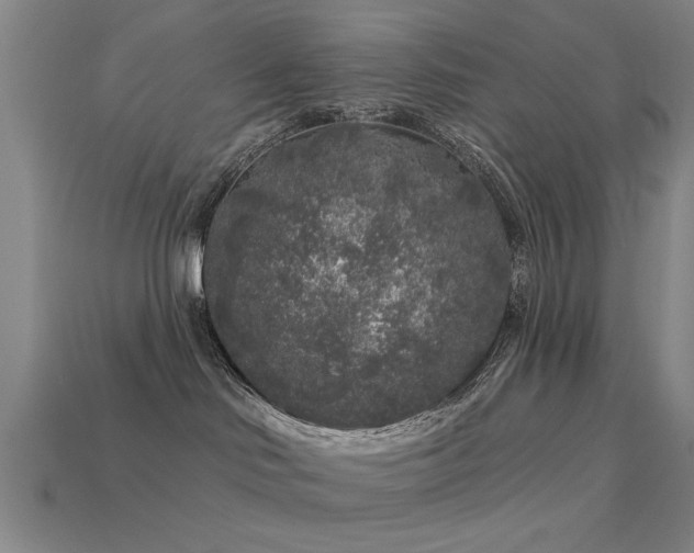 X0000113610046200909181428