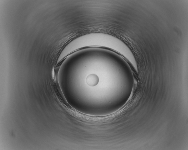 X0000113610047200909181428