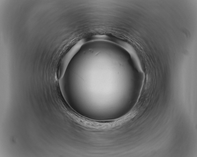 X0000113610048200909181428