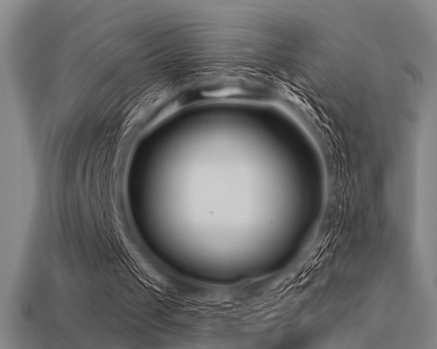 X0000113610049200909181427