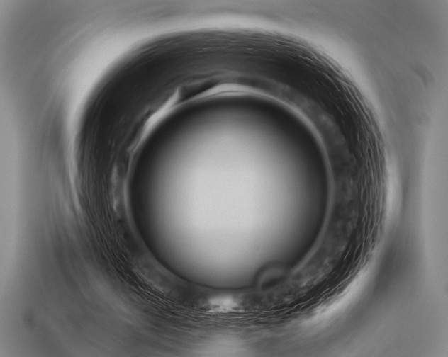 X0000113610050200909181427