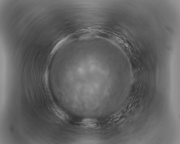 X0000113610051200909181427