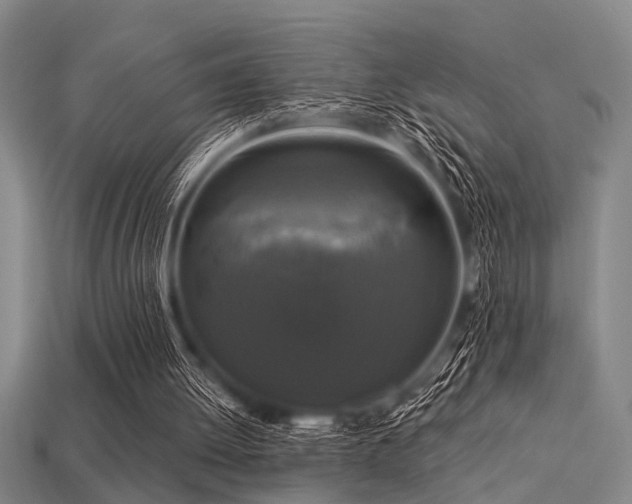 X0000113610052200909181427