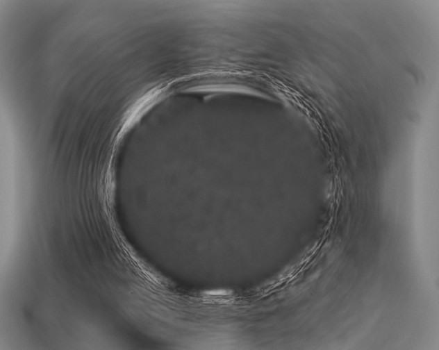 X0000113610053200909181427