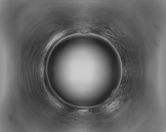 X0000113610054200909181427