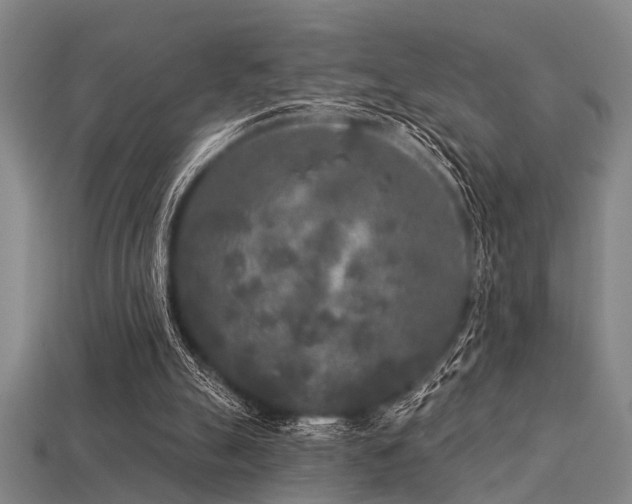 X0000113610055200909181427