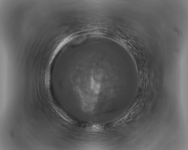 X0000113610056200909181427