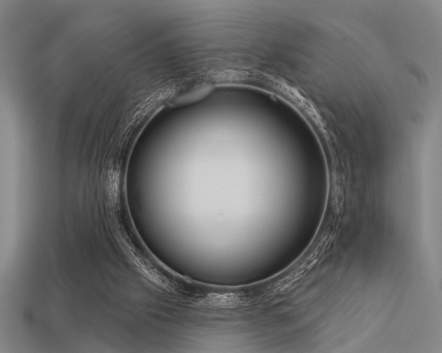 X0000113610057200909181427