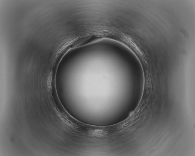 X0000113610058200909181427