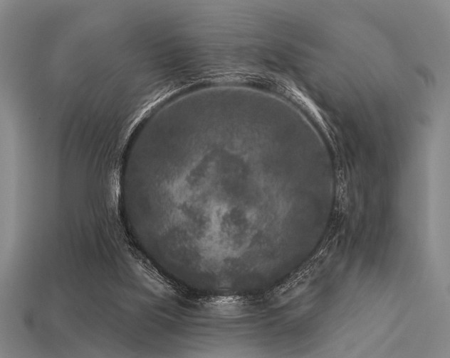 X0000113610059200909181427